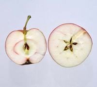 July Red Apple